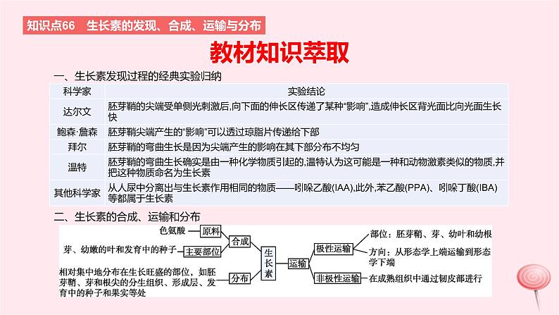 2024版高考生物一轮复习教材基础练第九章植物生命活动的调节第1节植物生长素教学课件第2页