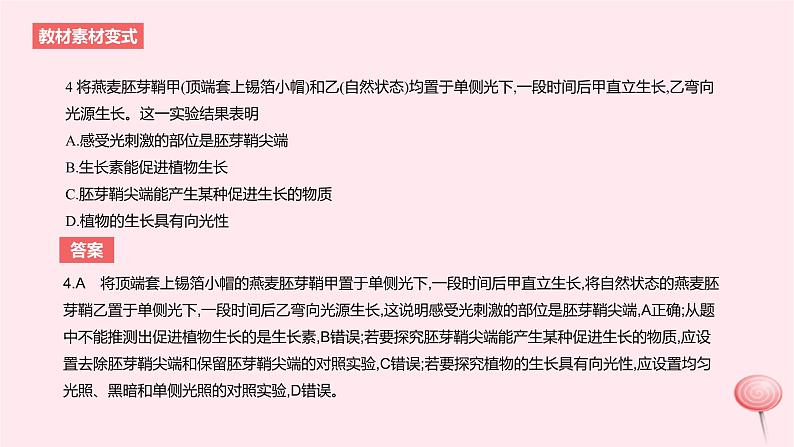 2024版高考生物一轮复习教材基础练第九章植物生命活动的调节第1节植物生长素教学课件第8页