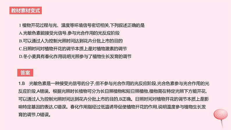 2024版高考生物一轮复习教材基础练第九章植物生命活动的调节第3节环境因素参与调节植物的生命活动教学课件第4页