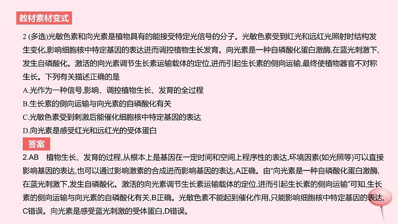 2024版高考生物一轮复习教材基础练第九章植物生命活动的调节第3节环境因素参与调节植物的生命活动教学课件第5页