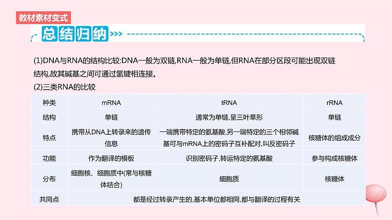 2024版高考生物一轮复习教材基础练第六章遗传的分子基础第3节基因的表达及其与性状的关系教学课件第8页