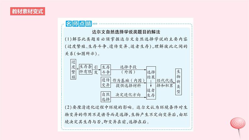 2024版高考生物一轮复习教材基础练第七章生物的变异与进化第2节生物的进化教学课件第7页