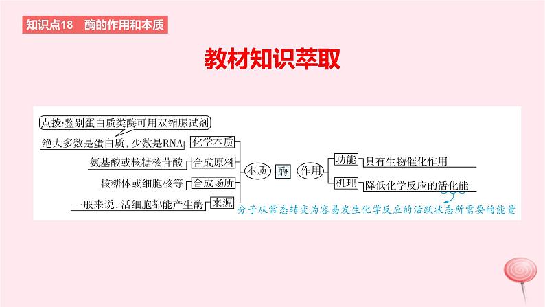 2024版高考生物一轮复习教材基础练第三章细胞的能量供应和利用第1节酶与ATP教学课件第2页