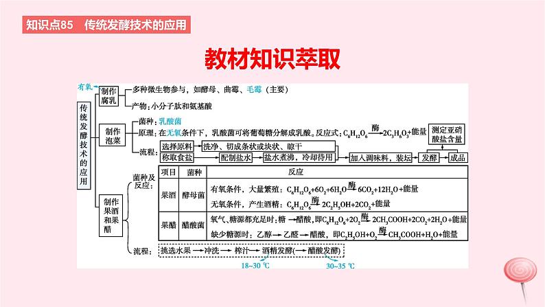 2024版高考生物一轮复习教材基础练第十一章生物技术与工程第1节发酵工程教学课件第2页