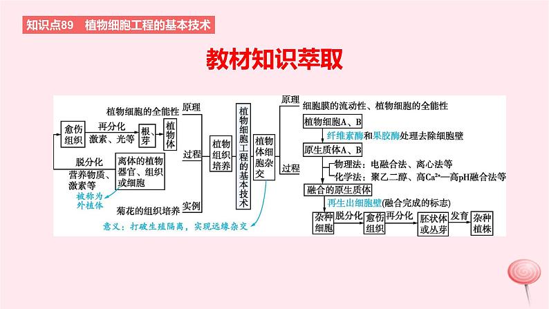 2024版高考生物一轮复习教材基础练第十一章生物技术与工程第2节细胞工程教学课件第2页