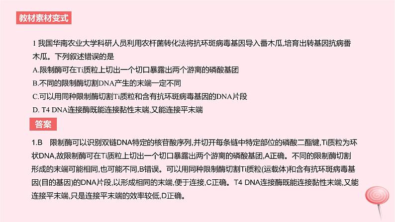 2024版高考生物一轮复习教材基础练第十一章生物技术与工程第3节基因工程及生物技术的安全性和伦理问题教学课件04