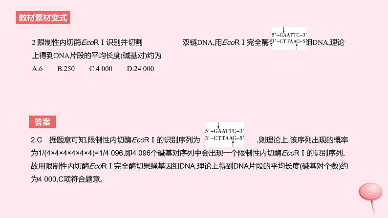 2024版高考生物一轮复习教材基础练第十一章生物技术与工程第3节基因工程及生物技术的安全性和伦理问题教学课件05