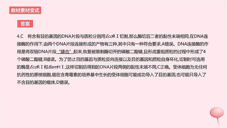 2024版高考生物一轮复习教材基础练第十一章生物技术与工程第3节基因工程及生物技术的安全性和伦理问题教学课件08