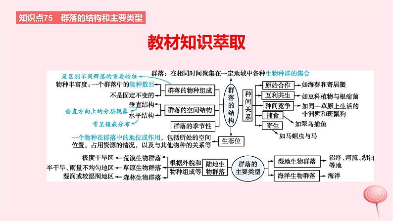 2024版高考生物一轮复习教材基础练第十章生物与环境第2节群落及其演替教学课件02