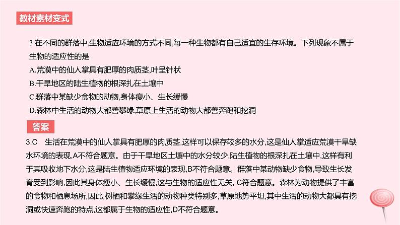 2024版高考生物一轮复习教材基础练第十章生物与环境第2节群落及其演替教学课件06