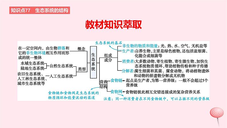 2024版高考生物一轮复习教材基础练第十章生物与环境第3节生态系统的结构和功能教学课件第2页