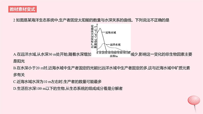 2024版高考生物一轮复习教材基础练第十章生物与环境第3节生态系统的结构和功能教学课件第5页