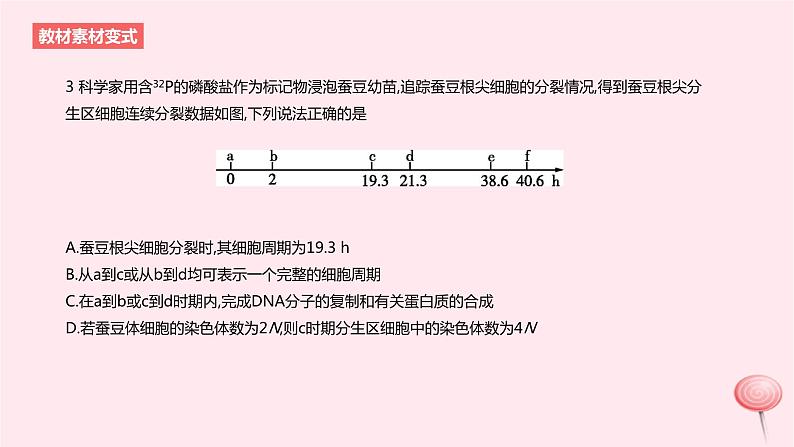 2024版高考生物一轮复习教材基础练第四章细胞的生命历程第1节细胞的增殖教学课件06