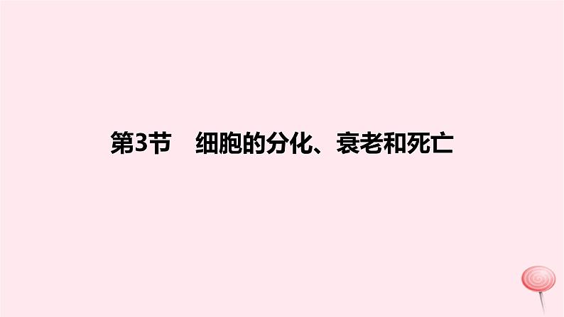 2024版高考生物一轮复习教材基础练第四章细胞的生命历程第3节细胞的分化衰老和死亡教学课件01