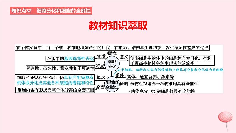 2024版高考生物一轮复习教材基础练第四章细胞的生命历程第3节细胞的分化衰老和死亡教学课件02