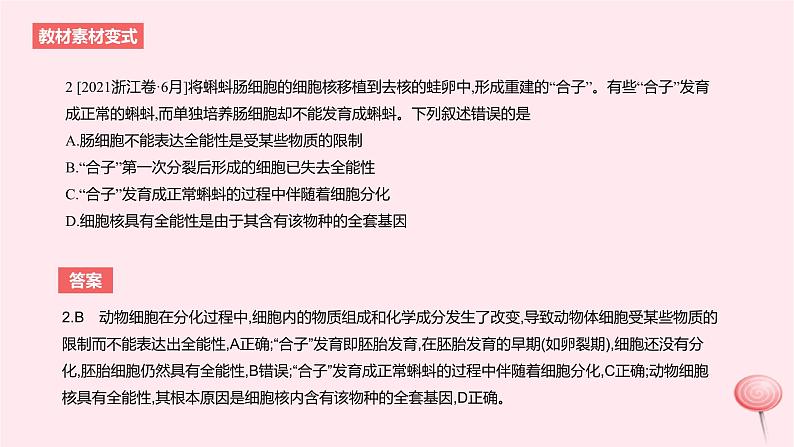 2024版高考生物一轮复习教材基础练第四章细胞的生命历程第3节细胞的分化衰老和死亡教学课件05