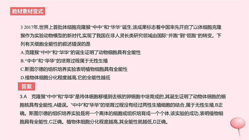 2024版高考生物一轮复习教材基础练第四章细胞的生命历程第3节细胞的分化衰老和死亡教学课件06