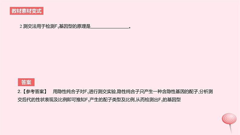 2024版高考生物一轮复习教材基础练第五章遗传的基本规律长句训练3生物遗传中的相关推理分析教学课件04