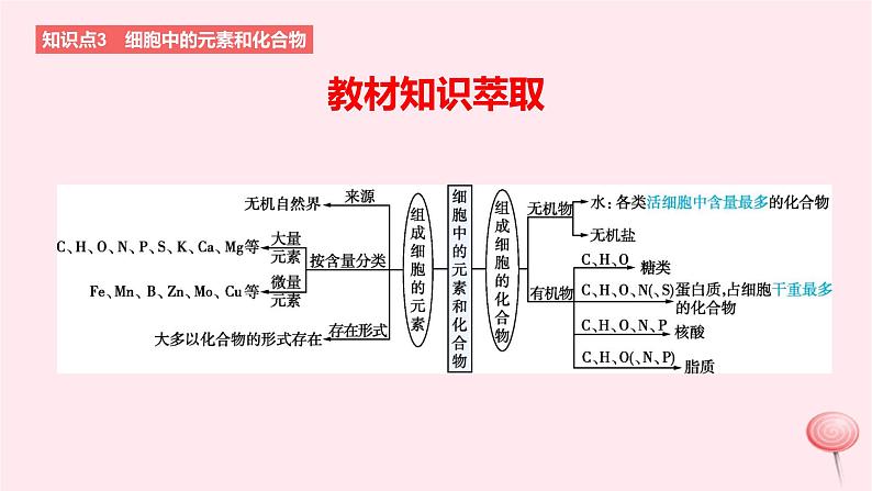 2024版高考生物一轮复习教材基础练第一章走近细胞及细胞的分子组成第2节细胞中的元素和无机物教学课件第2页