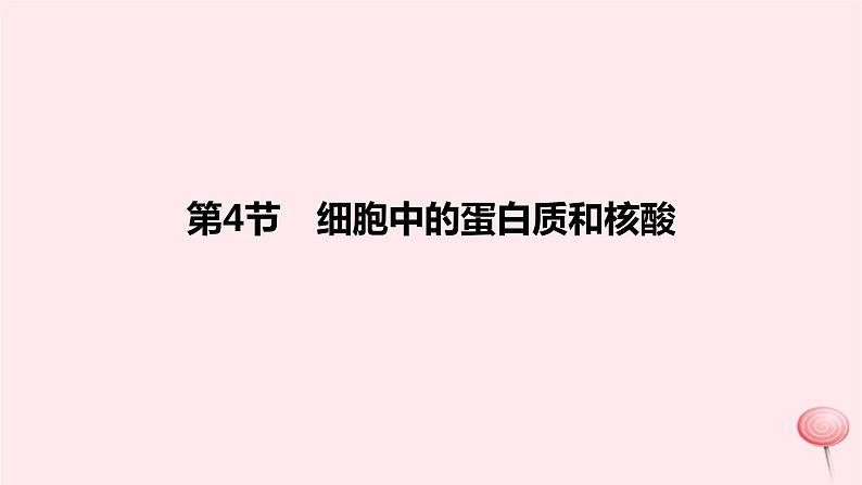 2024版高考生物一轮复习教材基础练第一章走近细胞及细胞的分子组成第4节细胞中的蛋白质和核酸教学课件01