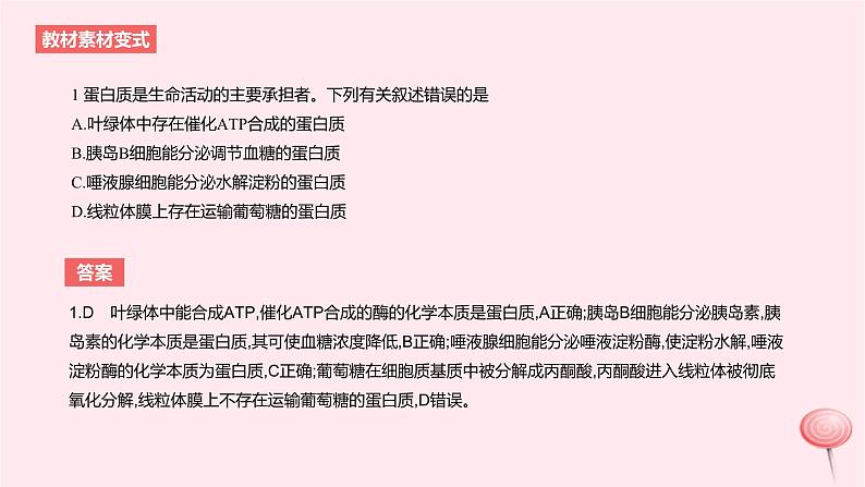 2024版高考生物一轮复习教材基础练第一章走近细胞及细胞的分子组成第4节细胞中的蛋白质和核酸教学课件04