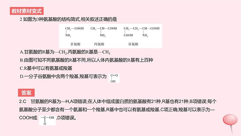 2024版高考生物一轮复习教材基础练第一章走近细胞及细胞的分子组成第4节细胞中的蛋白质和核酸教学课件05