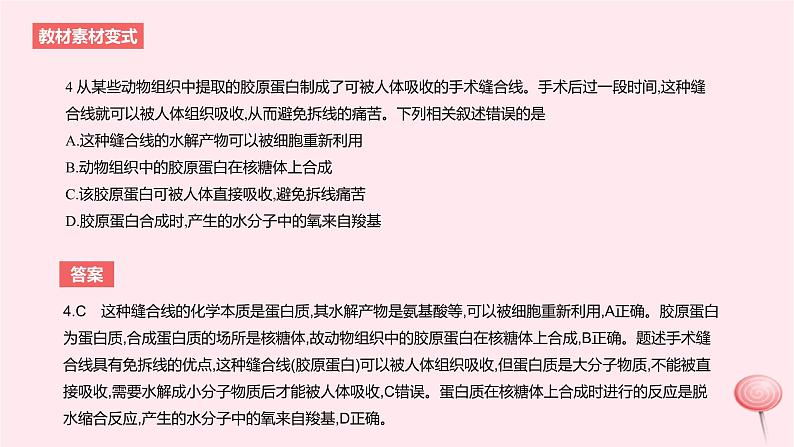 2024版高考生物一轮复习教材基础练第一章走近细胞及细胞的分子组成第4节细胞中的蛋白质和核酸教学课件07