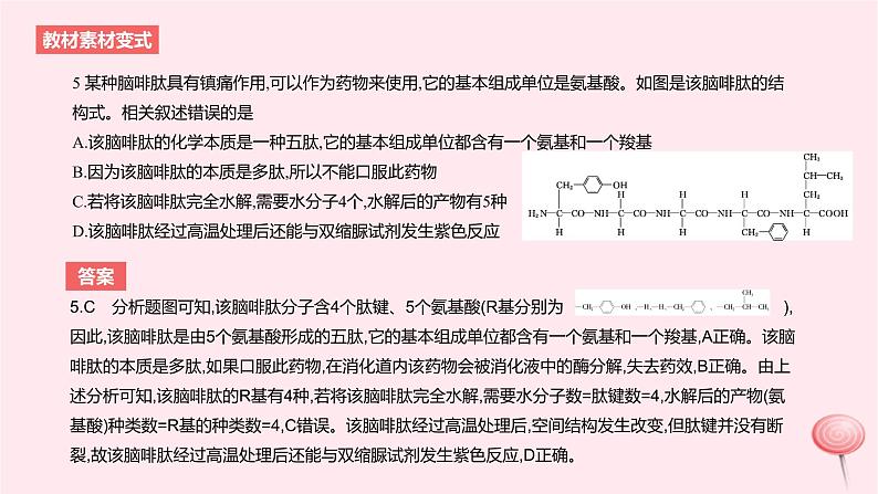 2024版高考生物一轮复习教材基础练第一章走近细胞及细胞的分子组成第4节细胞中的蛋白质和核酸教学课件08