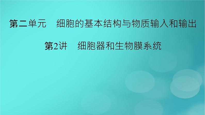 新高考适用2024版高考生物一轮总复习必修1分子与细胞第2单元细胞的基本结构与物质输入和输出第2讲细胞器和生物膜系统课件02