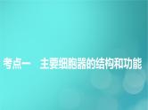 新高考适用2024版高考生物一轮总复习必修1分子与细胞第2单元细胞的基本结构与物质输入和输出第2讲细胞器和生物膜系统课件