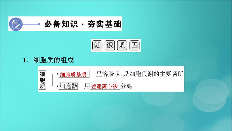 新高考适用2024版高考生物一轮总复习必修1分子与细胞第2单元细胞的基本结构与物质输入和输出第2讲细胞器和生物膜系统课件06