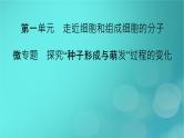 新高考适用2024版高考生物一轮总复习必修1分子与细胞第1单元走近细胞和组成细胞的分子微专题探究“种子形成与萌发”过程的变化课件