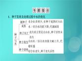 新高考适用2024版高考生物一轮总复习必修1分子与细胞第1单元走近细胞和组成细胞的分子微专题探究“种子形成与萌发”过程的变化课件