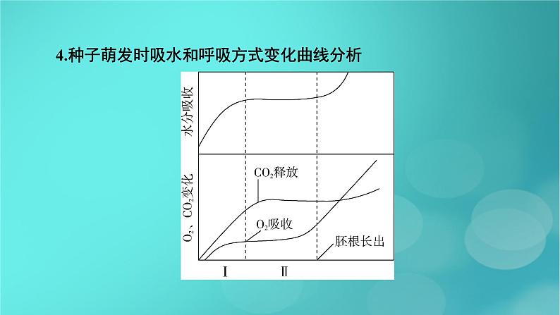 新高考适用2024版高考生物一轮总复习必修1分子与细胞第1单元走近细胞和组成细胞的分子微专题探究“种子形成与萌发”过程的变化课件06