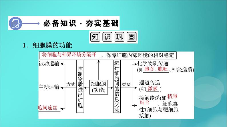 新高考适用2024版高考生物一轮总复习必修1分子与细胞第2单元细胞的基本结构与物质输入和输出第1讲细胞膜和细胞核课件06