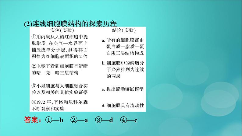 新高考适用2024版高考生物一轮总复习必修1分子与细胞第2单元细胞的基本结构与物质输入和输出第1讲细胞膜和细胞核课件08