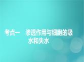 新高考适用2024版高考生物一轮总复习必修1分子与细胞第2单元细胞的基本结构与物质输入和输出第3讲细胞的物质输入和输出课件