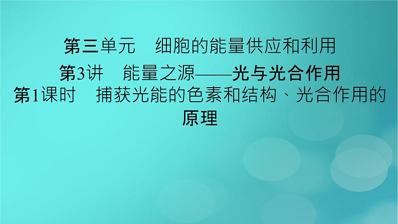 新高考适用2024版高考生物一轮总复习必修1分子与细胞第3单元细胞的能量供应和利用第3讲第1课时捕获光能的色素和结构光合作用的原理课件02