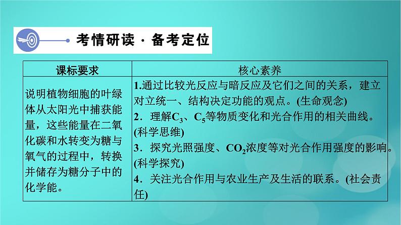 新高考适用2024版高考生物一轮总复习必修1分子与细胞第3单元细胞的能量供应和利用第3讲第1课时捕获光能的色素和结构光合作用的原理课件04