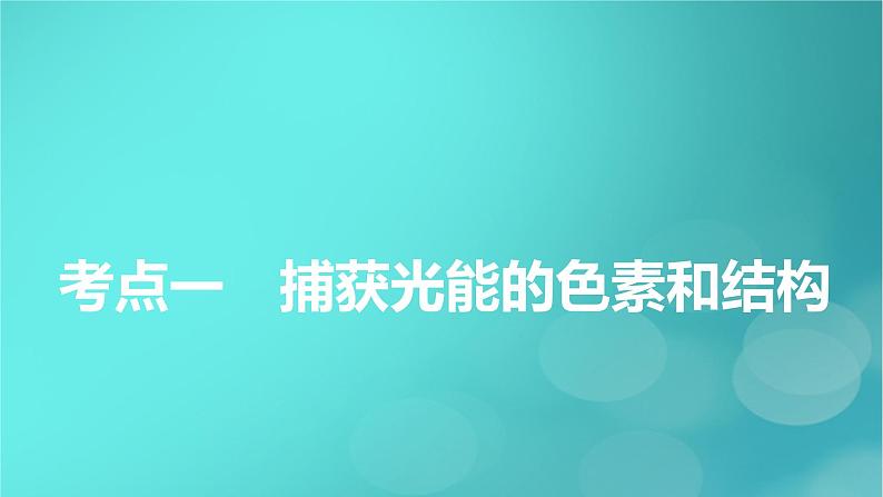 新高考适用2024版高考生物一轮总复习必修1分子与细胞第3单元细胞的能量供应和利用第3讲第1课时捕获光能的色素和结构光合作用的原理课件05