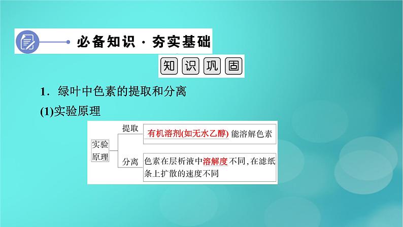 新高考适用2024版高考生物一轮总复习必修1分子与细胞第3单元细胞的能量供应和利用第3讲第1课时捕获光能的色素和结构光合作用的原理课件06