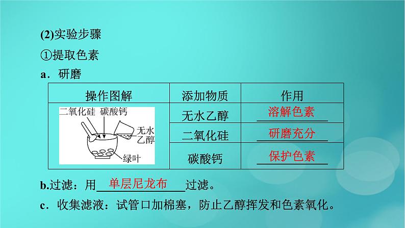 新高考适用2024版高考生物一轮总复习必修1分子与细胞第3单元细胞的能量供应和利用第3讲第1课时捕获光能的色素和结构光合作用的原理课件07