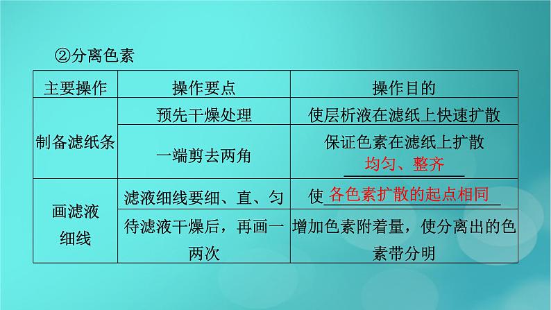 新高考适用2024版高考生物一轮总复习必修1分子与细胞第3单元细胞的能量供应和利用第3讲第1课时捕获光能的色素和结构光合作用的原理课件08