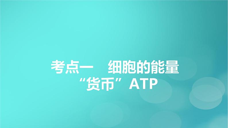 新高考适用2024版高考生物一轮总复习必修1分子与细胞第3单元细胞的能量供应和利用第1讲酶和ATP课件第5页