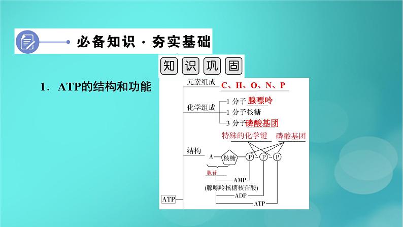 新高考适用2024版高考生物一轮总复习必修1分子与细胞第3单元细胞的能量供应和利用第1讲酶和ATP课件第6页