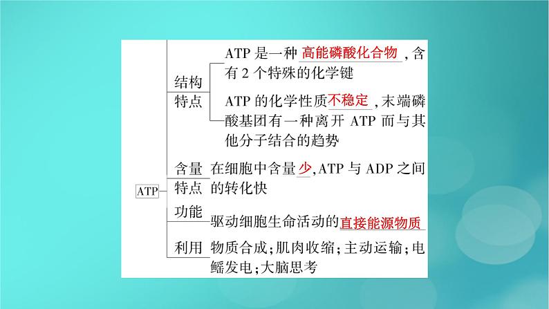 新高考适用2024版高考生物一轮总复习必修1分子与细胞第3单元细胞的能量供应和利用第1讲酶和ATP课件第7页