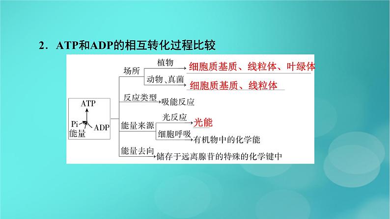 新高考适用2024版高考生物一轮总复习必修1分子与细胞第3单元细胞的能量供应和利用第1讲酶和ATP课件第8页