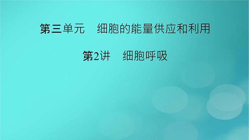 新高考适用2024版高考生物一轮总复习必修1分子与细胞第3单元细胞的能量供应和利用第2讲细胞呼吸课件02