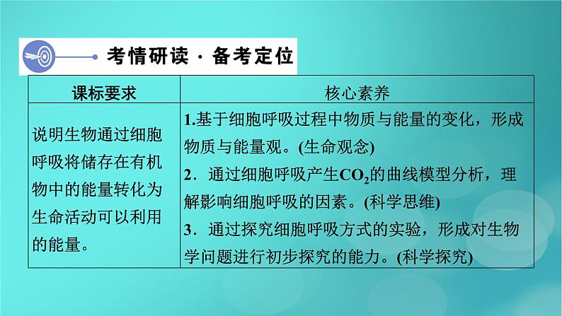 新高考适用2024版高考生物一轮总复习必修1分子与细胞第3单元细胞的能量供应和利用第2讲细胞呼吸课件04