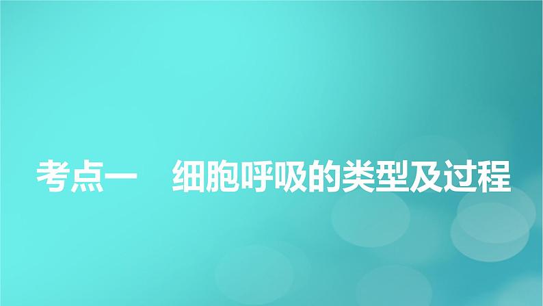 新高考适用2024版高考生物一轮总复习必修1分子与细胞第3单元细胞的能量供应和利用第2讲细胞呼吸课件05